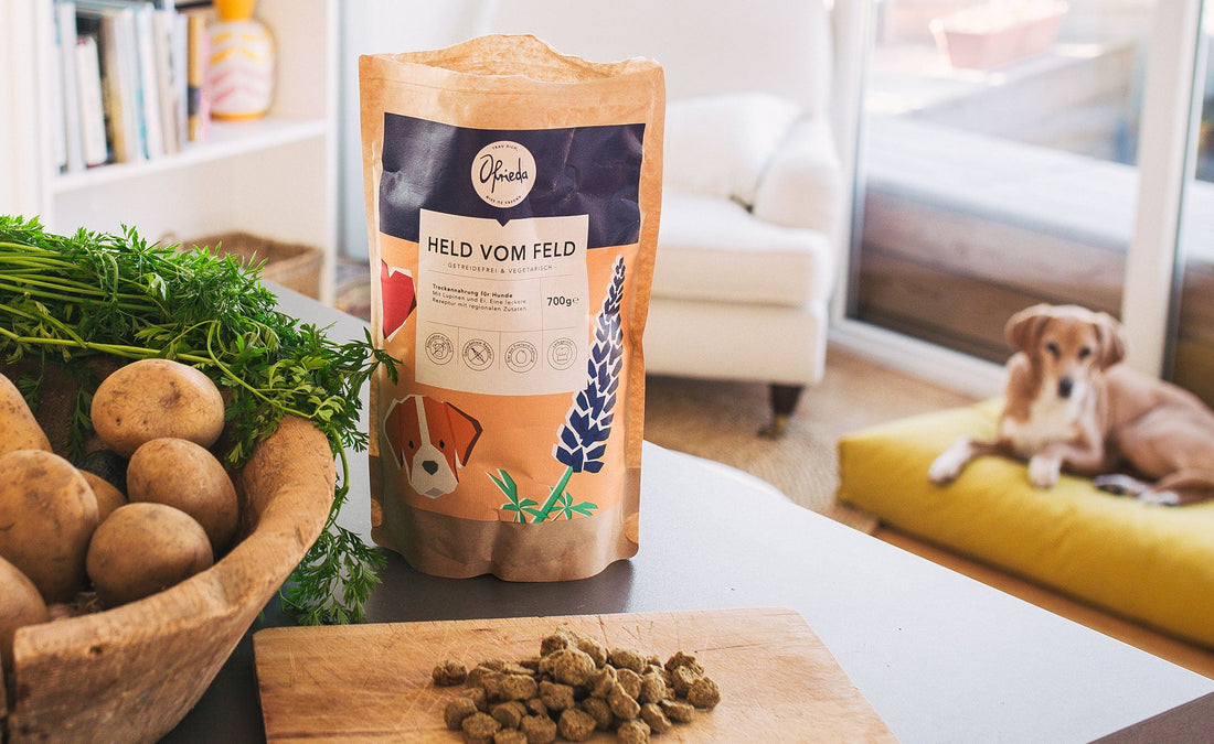 Purinarmes Hundefutter - Ratgeber für Hunde mit Leishmaniose und Dalmatiner