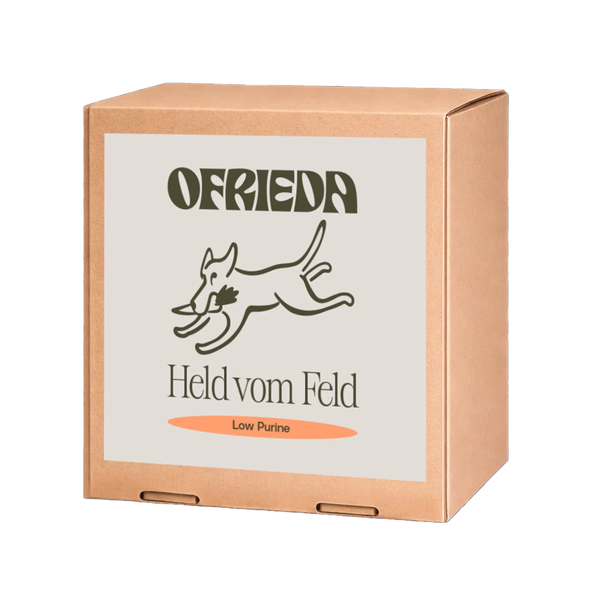 Held vom Feld Kaustangen